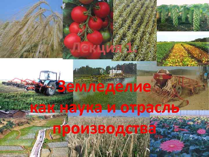 Лекция 1. Земледелие как наука и отрасль производства 