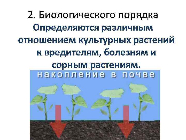 2. Биологического порядка Определяются различным отношением культурных растений к вредителям, болезням и сорным растениям.