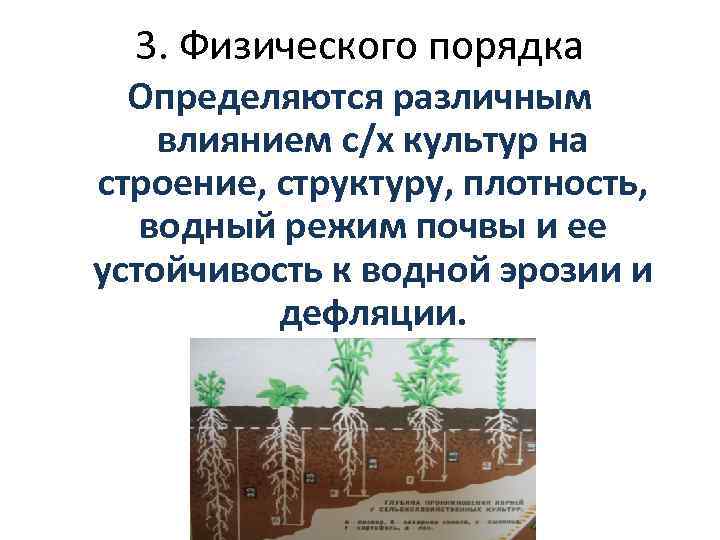 3. Физического порядка Определяются различным влиянием с/х культур на строение, структуру, плотность, водный режим