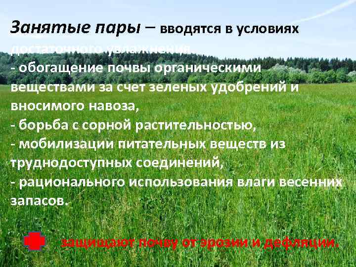 Занятые пары – вводятся в условиях достаточного увлажнения. - обогащение почвы органическими веществами за