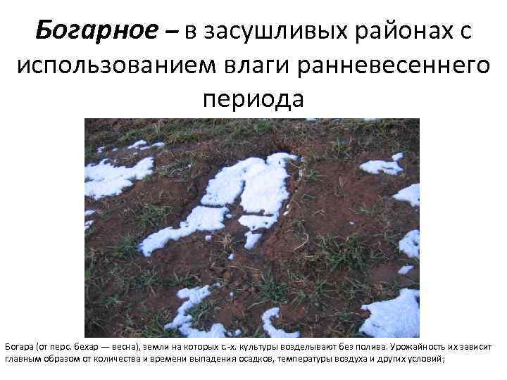 Богарное – в засушливых районах с использованием влаги ранневесеннего периода Богара (от перс. бехар