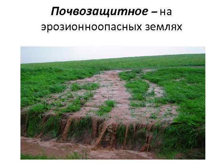Почвозащитное – на эрозионноопасных землях 