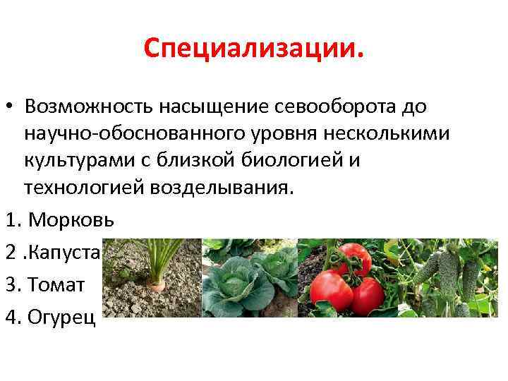 Специализации. • Возможность насыщение севооборота до научно-обоснованного уровня несколькими культурами с близкой биологией и