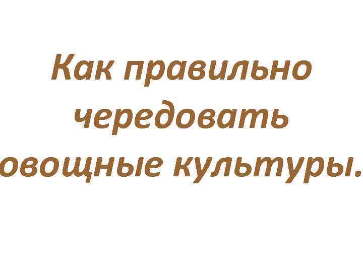 Как правильно чередовать овощные культуры. 