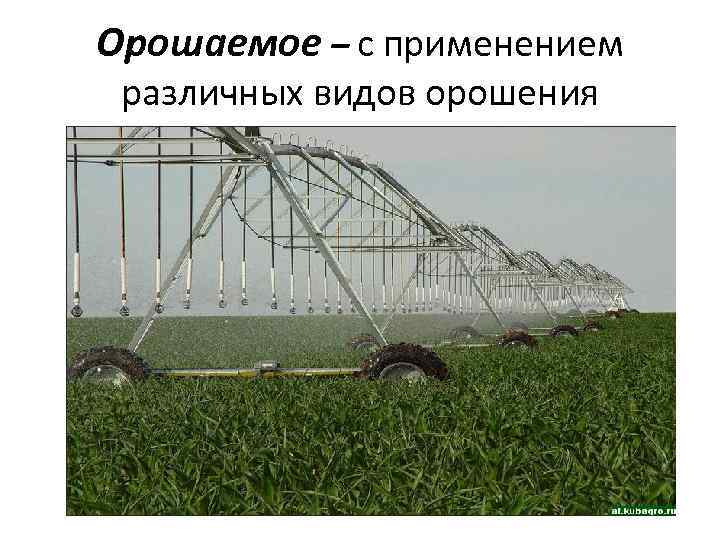 Орошаемое – с применением различных видов орошения 