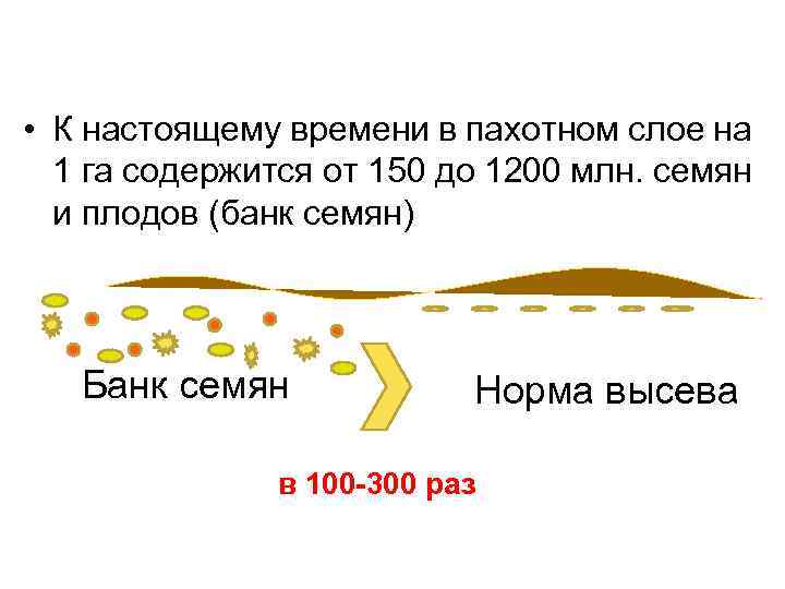  • К настоящему времени в пахотном слое на 1 га содержится от 150