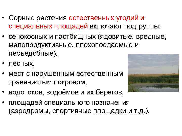  • Сорные растения естественных угодий и специальных площадей включают подгруппы: • сенокосных и