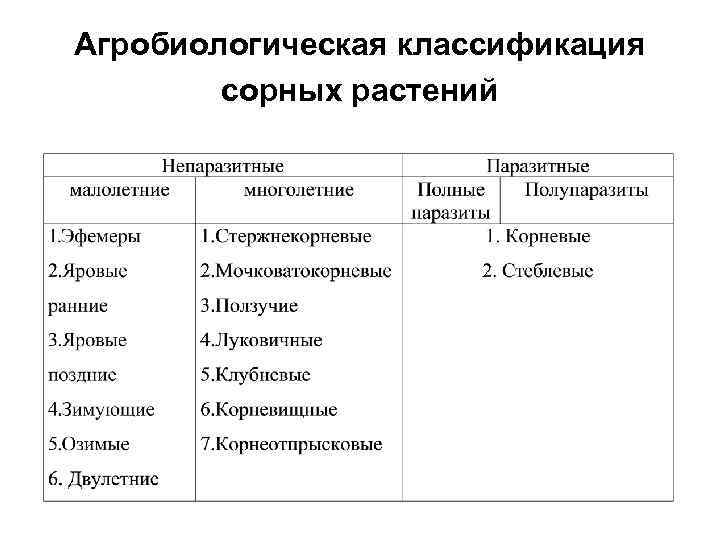 Агробиологическая классификация сорных растений 