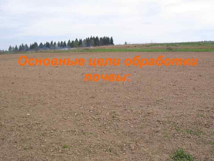 Основные цели обработки почвы: 