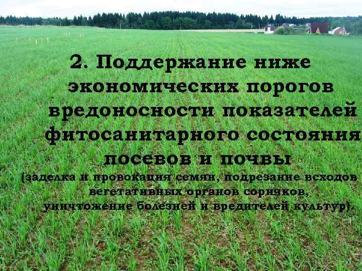 2. Поддержание ниже экономических порогов вредоносности показателей фитосанитарного состояния посевов и почвы (заделка и