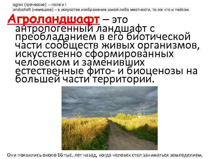 Агроландшафт это. Антропогенный ландшафт земледельческие агроландшафты. Классификация агроландшафтов. Эколого ландшафтное земледелие. Концепция агроландшафта.