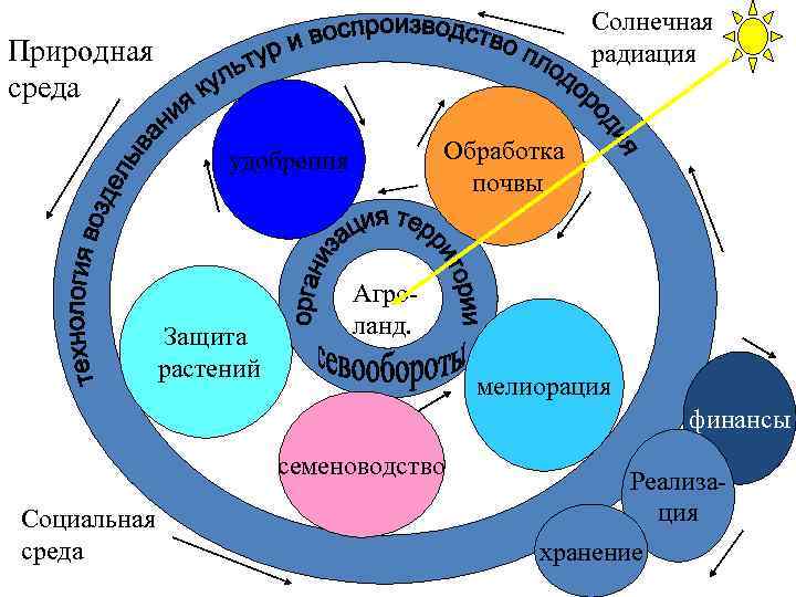 Солнечная радиация Природная среда Обработка почвы удобрения Защита растений Агроланд. мелиорация финансы семеноводство Социальная