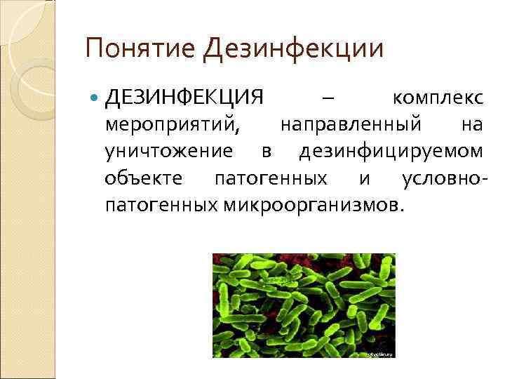 Понятие Дезинфекции ДЕЗИНФЕКЦИЯ – комплекс мероприятий, направленный на уничтожение в дезинфицируемом объекте патогенных и