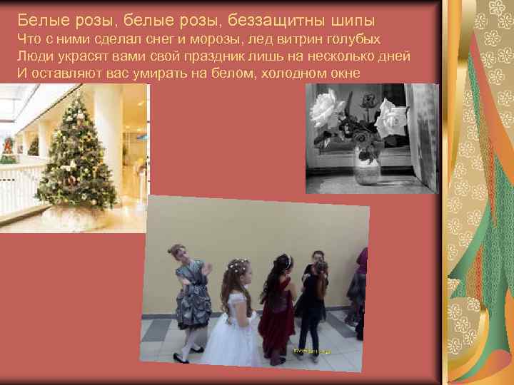 Белые pозы, беззащитны шипы Что с ними сделал снег и моpозы, лед витpин голубых