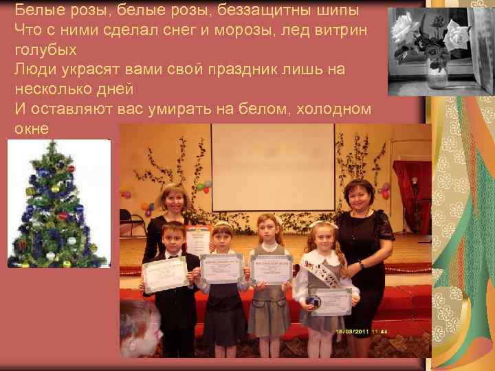 Белые pозы, беззащитны шипы Что с ними сделал снег и моpозы, лед витpин голубых