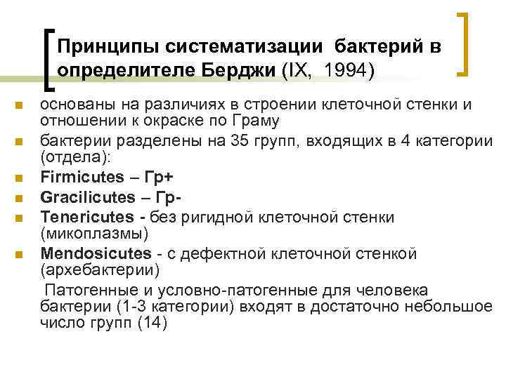 Принципы систематизации бактерий в определителе Берджи (IX, 1994) n n n основаны на различиях