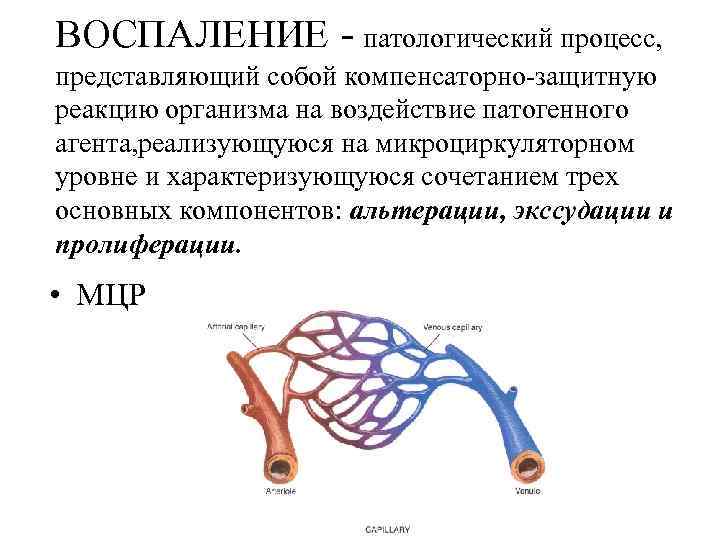 Воспаление патанатомия презентация