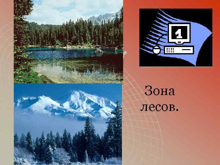 Зона лесов. 