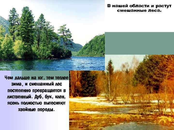 В нашей области и растут смешанные леса. Чем дальше на юг, тем теплее зима,