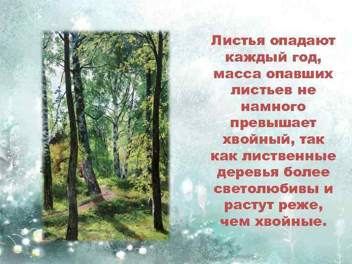 Листья опадают каждый год, масса опавших листьев не намного превышает хвойный, так как лиственные