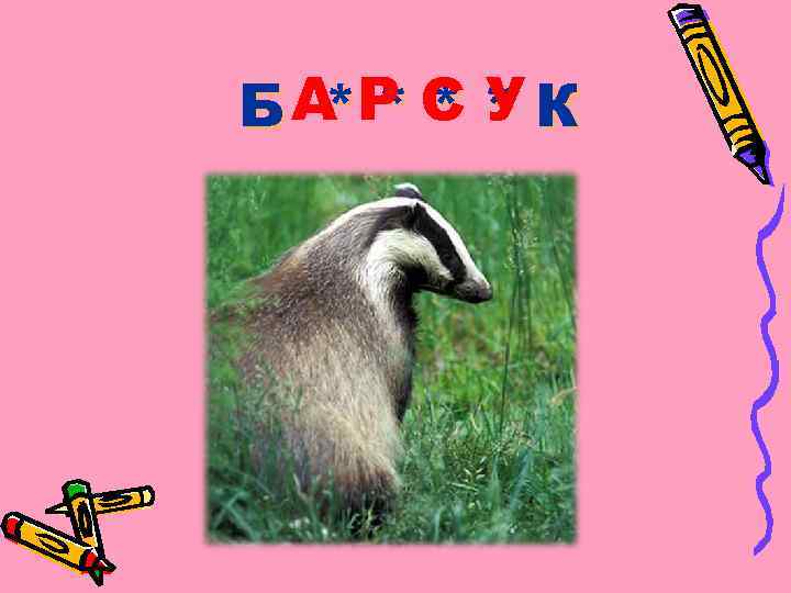 БА Р С * К ***У 