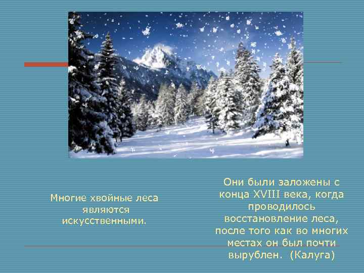 Многие хвойные леса являются искусственными. Они были заложены с конца XVIII века, когда проводилось