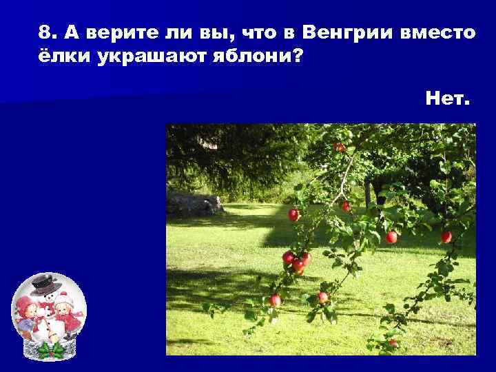 8. А верите ли вы, что в Венгрии вместо ёлки украшают яблони? Нет. 