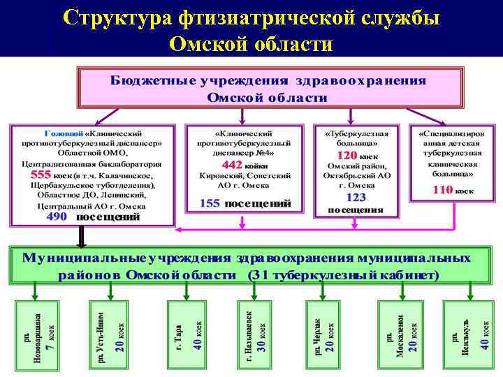 Структура фтизиатрической службы Омской области 