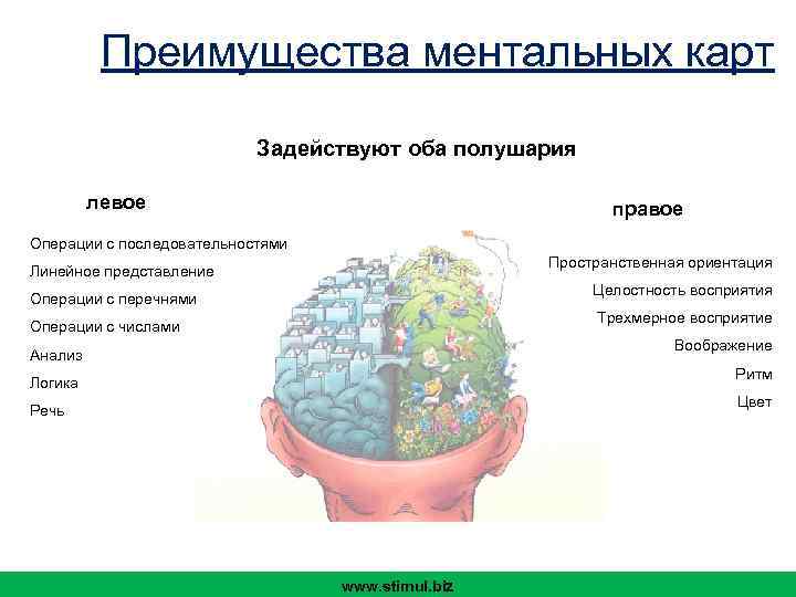 Преимущества ментальных карт Задействуют оба полушария левое правое Операции с последовательностями Пространственная ориентация Линейное