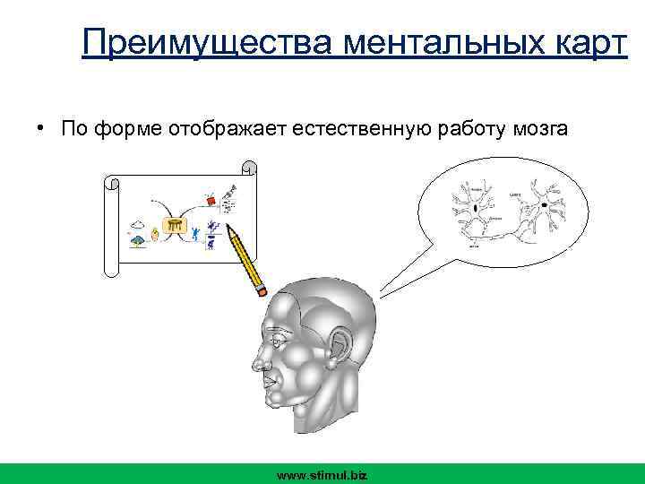 Преимущества ментальных карт • По форме отображает естественную работу мозга www. stimul. biz 