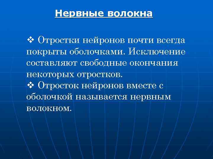Нервные волокна v Отростки нейронов почти всегда покрыты оболочками. Исключение составляют свободные окончания некоторых