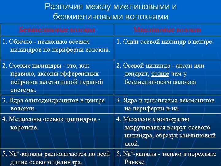 Различия между миелиновыми и безмиелиновыми волокнами Безмиелиновые волокна Миелиновые волокна 1. Обычно - несколько