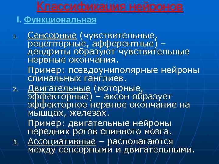 Классификация нейронов I. Функциональная 1. 2. 3. Сенсорные (чувствительные, рецепторные, афферентные) – дендриты образуют
