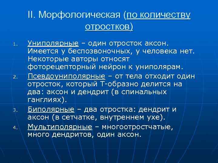 II. Морфологическая (по количеству отростков) 1. 2. 3. 4. Униполярные – один отросток аксон.