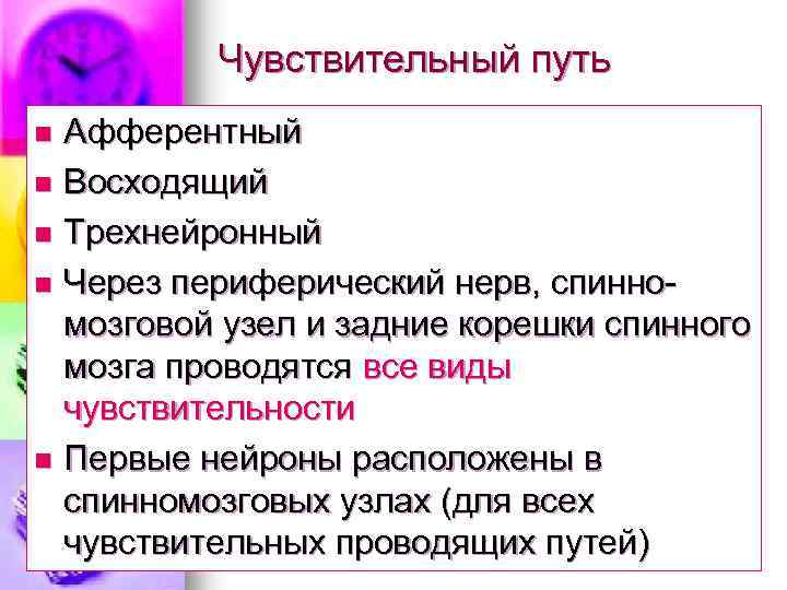 Чувствительный путь Афферентный n Восходящий n Трехнейронный n Через периферический нерв, спинно мозговой узел