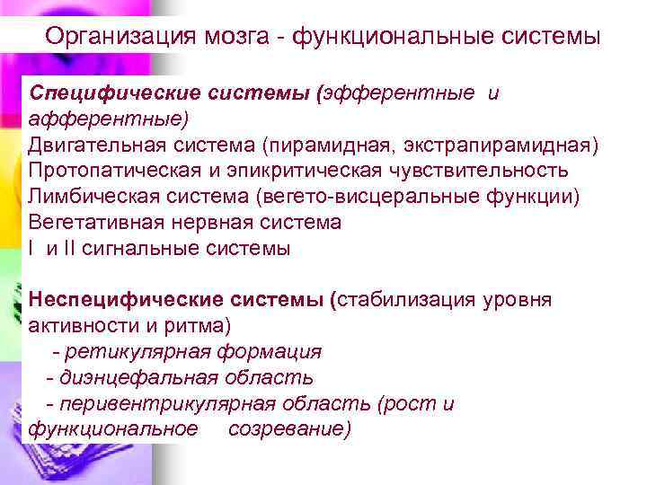 Организация мозга функциональные системы Специфические системы (эфферентные и афферентные) Двигательная система (пирамидная, экстрапирамидная) Протопатическая