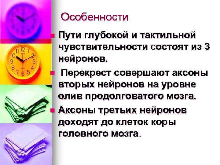Особенности Пути глубокой и тактильной чувствительности состоят из 3 нейронов. n Перекрест совершают аксоны