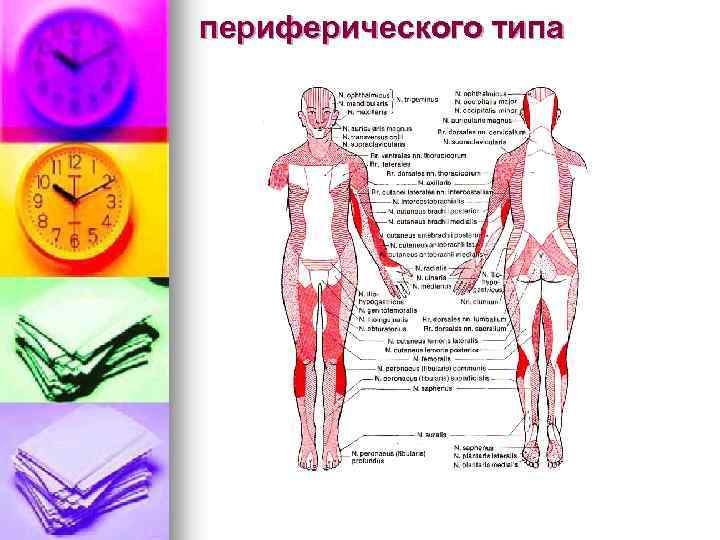 периферического типа 