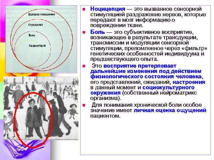 n n Ноцицепция — это вызванное сенсорной стимуляцией раздражение нервов, которые передают в мозг