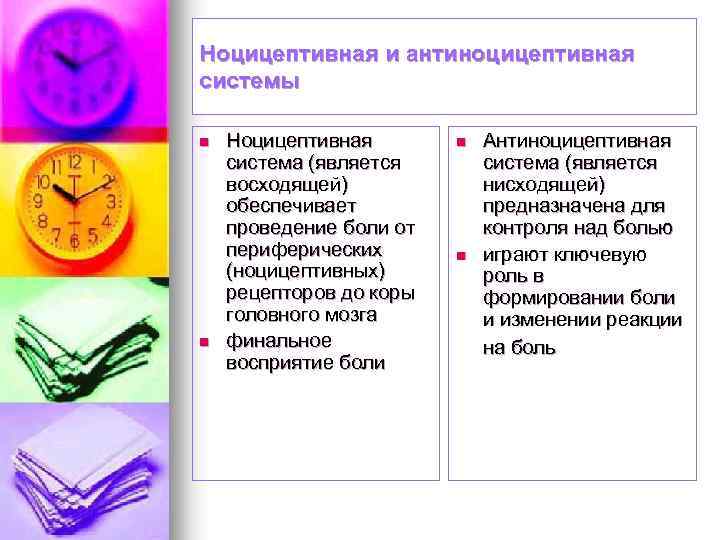 Ноцицептивная и антиноцицептивная системы n n Ноцицептивная система (является восходящей) обеспечивает проведение боли от