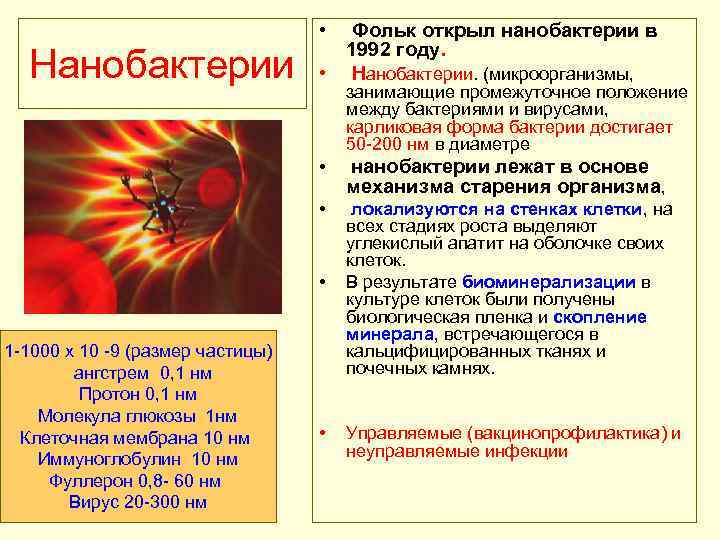  • Нанобактерии Фольк открыл нанобактерии в 1992 году. • Нанобактерии. (микроорганизмы, занимающие промежуточное