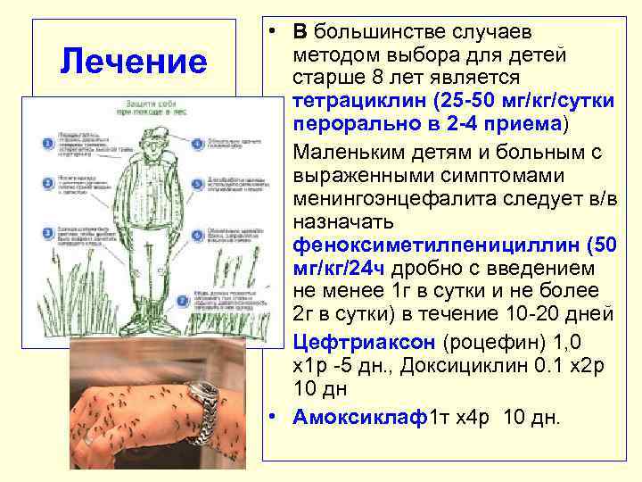 Лечение • В большинстве случаев методом выбора для детей старше 8 лет является тетрациклин