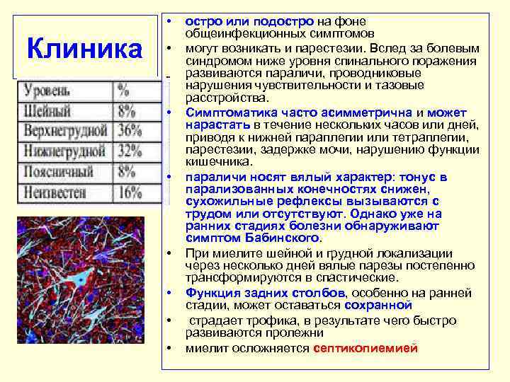  • Клиника • • остро или подостро на фоне общеинфекционных симптомов могут возникать