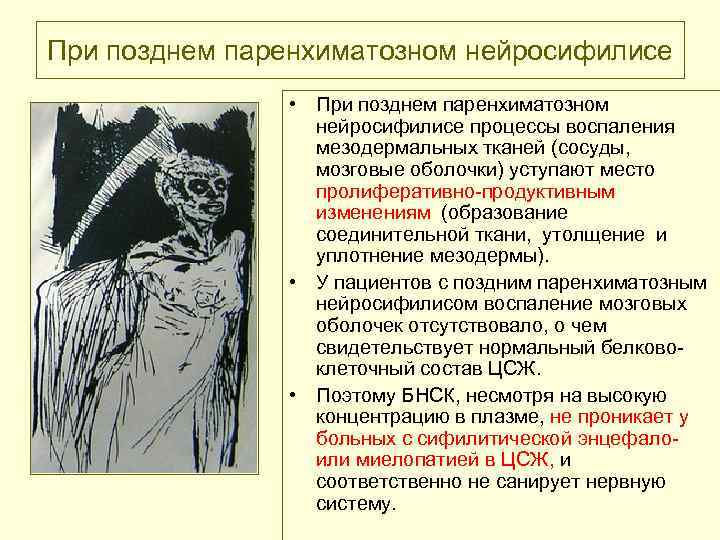 При позднем паренхиматозном нейросифилисе • При позднем паренхиматозном нейросифилисе процессы воспаления мезодермальных тканей (сосуды,