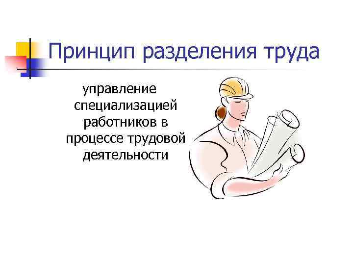 Принцип разделения труда управление специализацией работников в процессе трудовой деятельности 