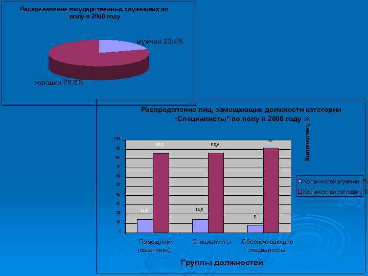 Распределение государственных служащиих по полу в 2008 году мужчин 23, 4% женщин 76, 6%