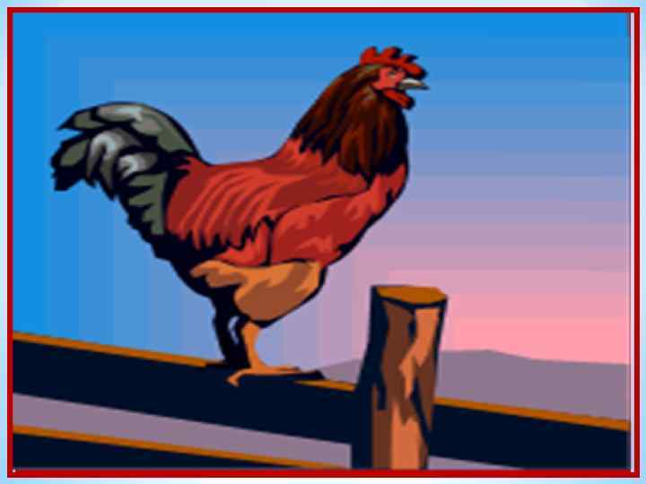 Ку-ка-ре-ку! – кричит он звонко, Крыльями хлопает громко. Курочек верный пастух Как зовут его?