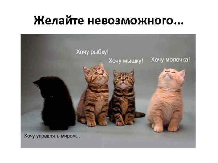 Желайте невозможного. . . 