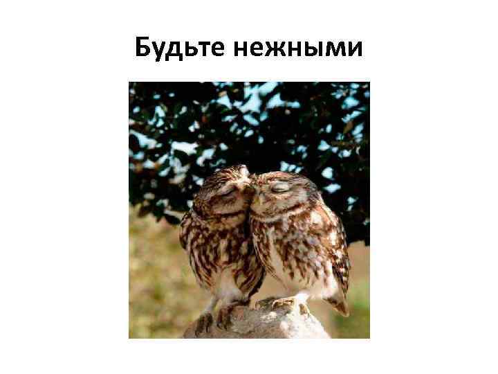 Будьте нежными 