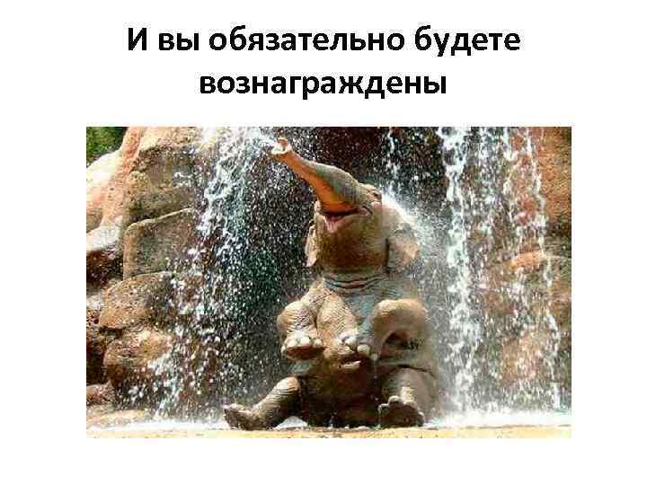 И вы обязательно будете вознаграждены 